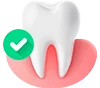 Dentavive GMP Certified